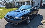 2003 Mustang Thumbnail 13