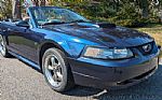 2003 Mustang Thumbnail 15