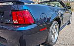 2003 Mustang Thumbnail 19