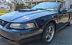 2003 Mustang Thumbnail 22