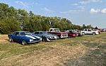 1979 Firebird Trans Am Thumbnail 5