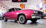 1980 Cutlass Y68 Regional Custom Thumbnail 3
