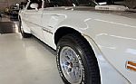 1978 Trans Am Thumbnail 5