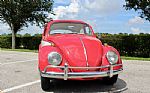 1964 Beetle Deluxe Thumbnail 5