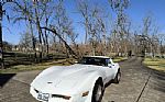 1981 Corvette Thumbnail 12