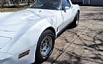 1981 Corvette Thumbnail 22