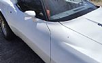 1981 Corvette Thumbnail 25