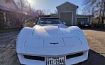 1981 Corvette Thumbnail 29