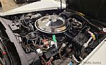 1981 Corvette Thumbnail 60