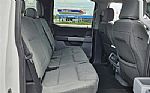 2024 F-150 Thumbnail 12