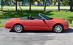 2003 Thunderbird 007 Edition Thumbnail 24