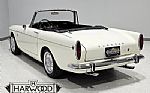 1965 Tiger Thumbnail 6