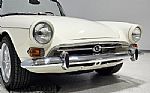1965 Tiger Thumbnail 23