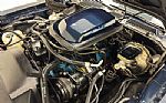 1981 Firebird Trans Am Thumbnail 43