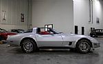 1981 Corvette Thumbnail 7