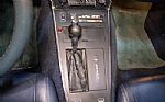 1981 Corvette Thumbnail 13