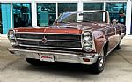 1966 Fairlane 500 Thumbnail 1