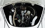1965 Beetle Thumbnail 48