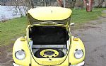 1971 Super Beetle Thumbnail 20