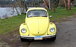 1971 Super Beetle Thumbnail 14