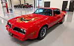1977 Firebird Trans Am Thumbnail 1