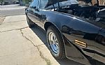1979 Firebird Thumbnail 15