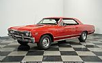 1967 Chevelle SS 396 Tribute Thumbnail 5