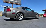 2001 Mustang GT Thumbnail 8