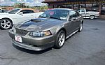 2001 Mustang GT Thumbnail 10