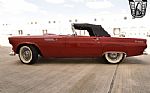 1955 Thunderbird Thumbnail 5
