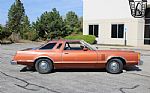 1979 Thunderbird Thumbnail 10