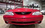 1996 Mustang SVT Cobra Thumbnail 13