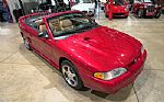 1996 Mustang SVT Cobra Thumbnail 14