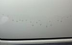 1969 Type 2 Bus Thumbnail 23