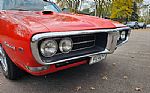 1968 Firebird Thumbnail 21