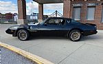 1979 Trans Am Thumbnail 4