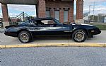 1979 Trans Am Thumbnail 3