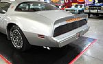 1979 Trans Am Thumbnail 42