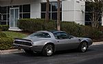 1979 Firebird Trans Am 10th Anniver Thumbnail 3