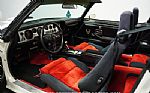 1981 Firebird Trans Am SE Thumbnail 4