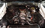 1981 Firebird Trans Am SE Thumbnail 3