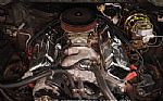 1981 Firebird Trans Am SE Thumbnail 33