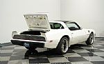 1981 Firebird Trans Am SE Thumbnail 55