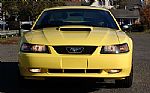 2001 Mustang Thumbnail 6