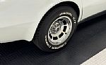 1981 Corvette Coupe Thumbnail 19