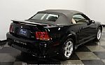 2001 Mustang SVT Cobra Convertible Thumbnail 10