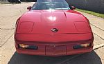 1996 Corvette Thumbnail 2
