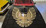1981 Trans Am Thumbnail 3