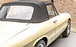1967 Spider 1600 Duetto Thumbnail 29