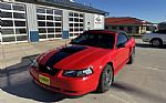 2001 Mustang Thumbnail 4